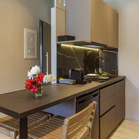 Domus Napoleon 아파트 *